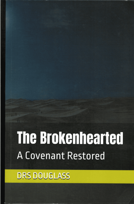 The Brokenhearted (Large Print)